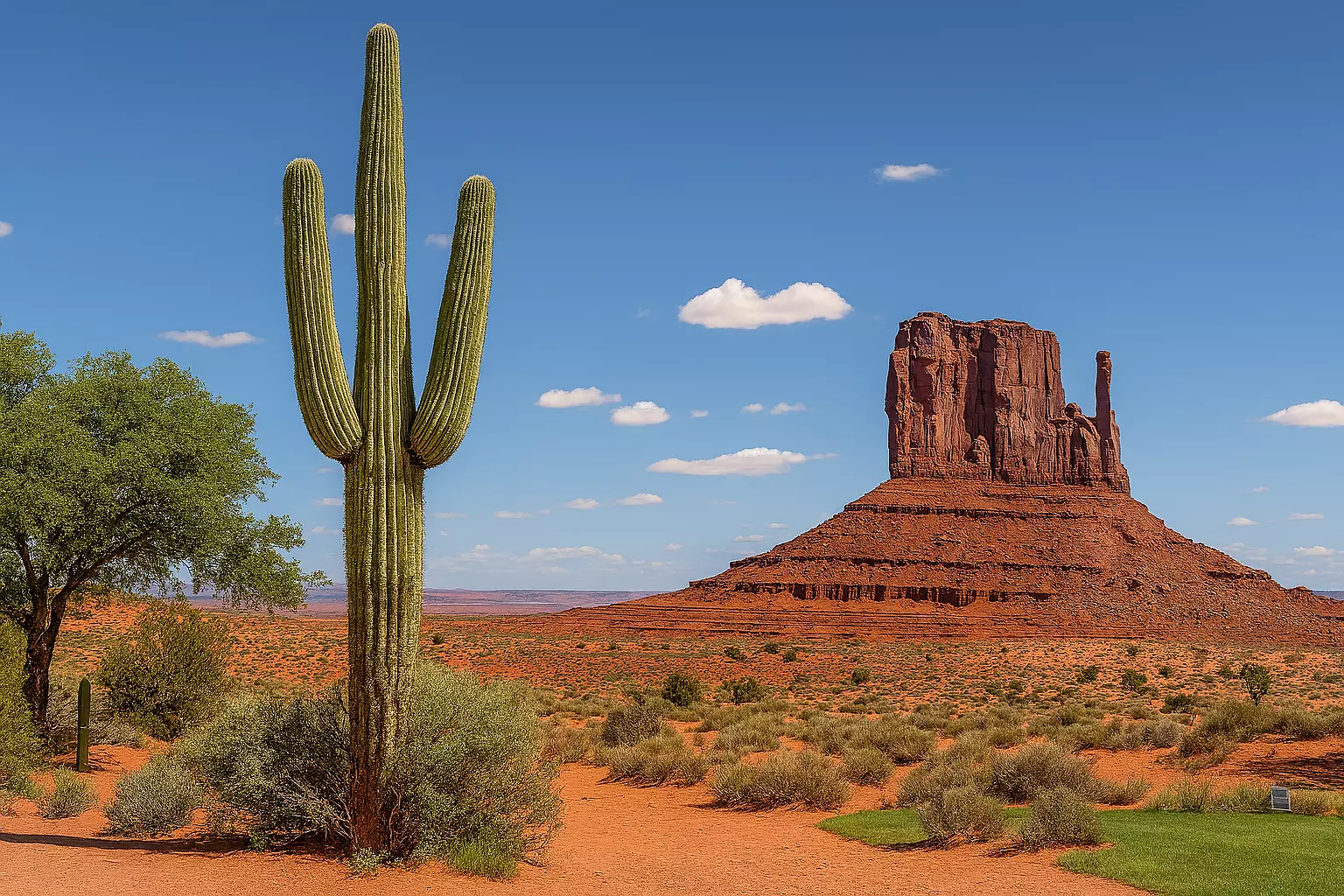 Representación del Estado de Arizona en Estados Unidos